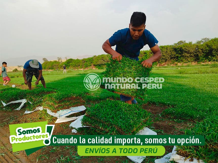 IMG_MUNDO_04