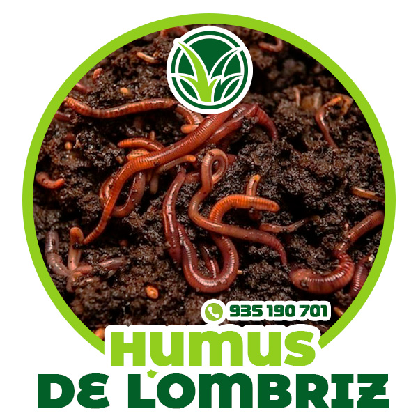 TIPO-de-grass-08