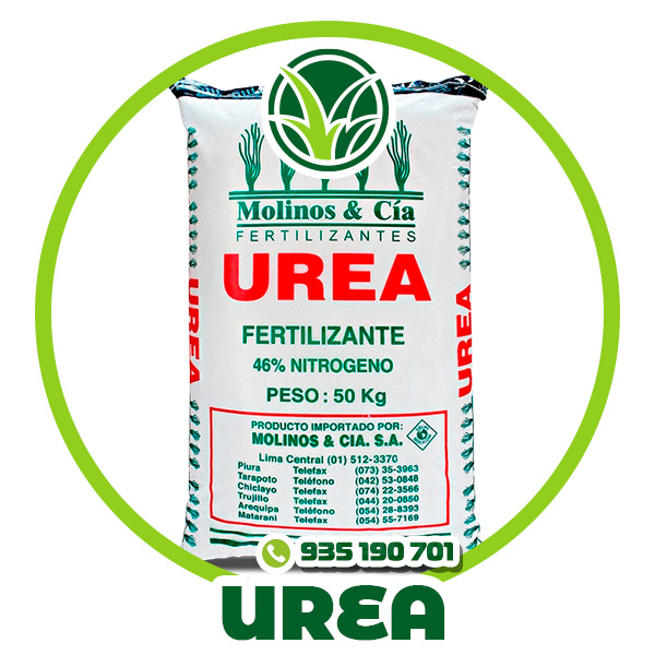 TIPO-de-grass-09