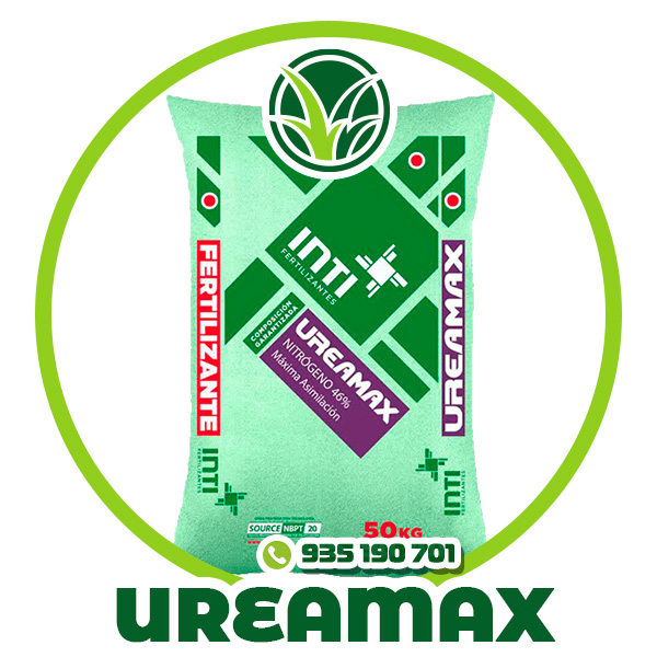 TIPO-de-grass-10