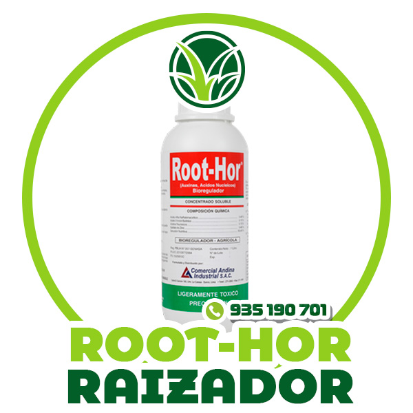 TIPO-de-grass-12