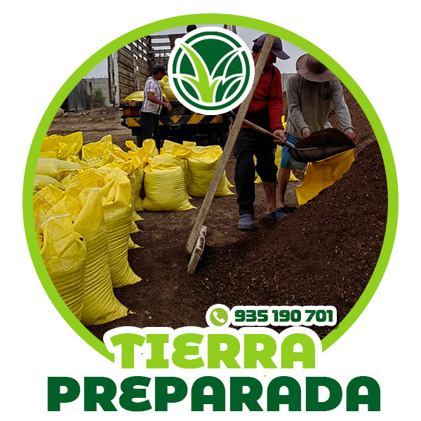 TIPO-de-grass-14