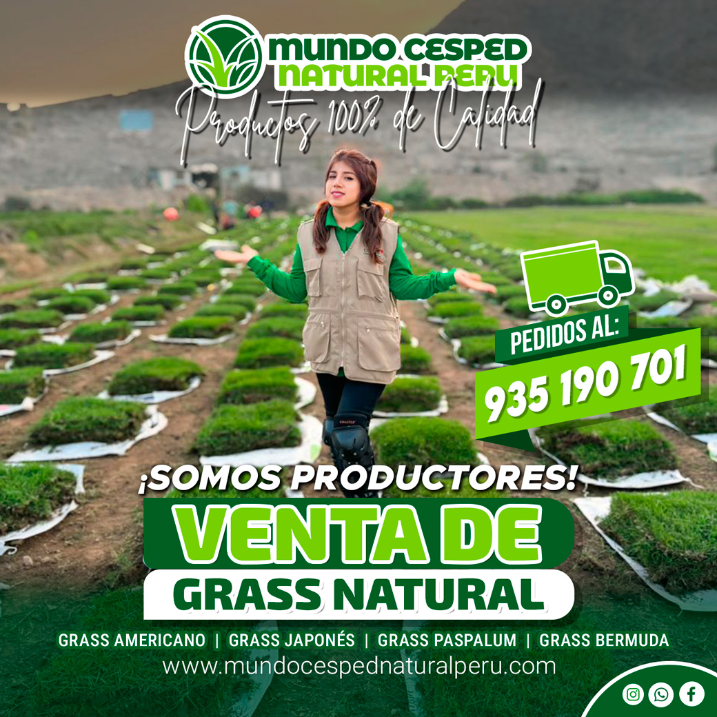 flayer_mundo_01