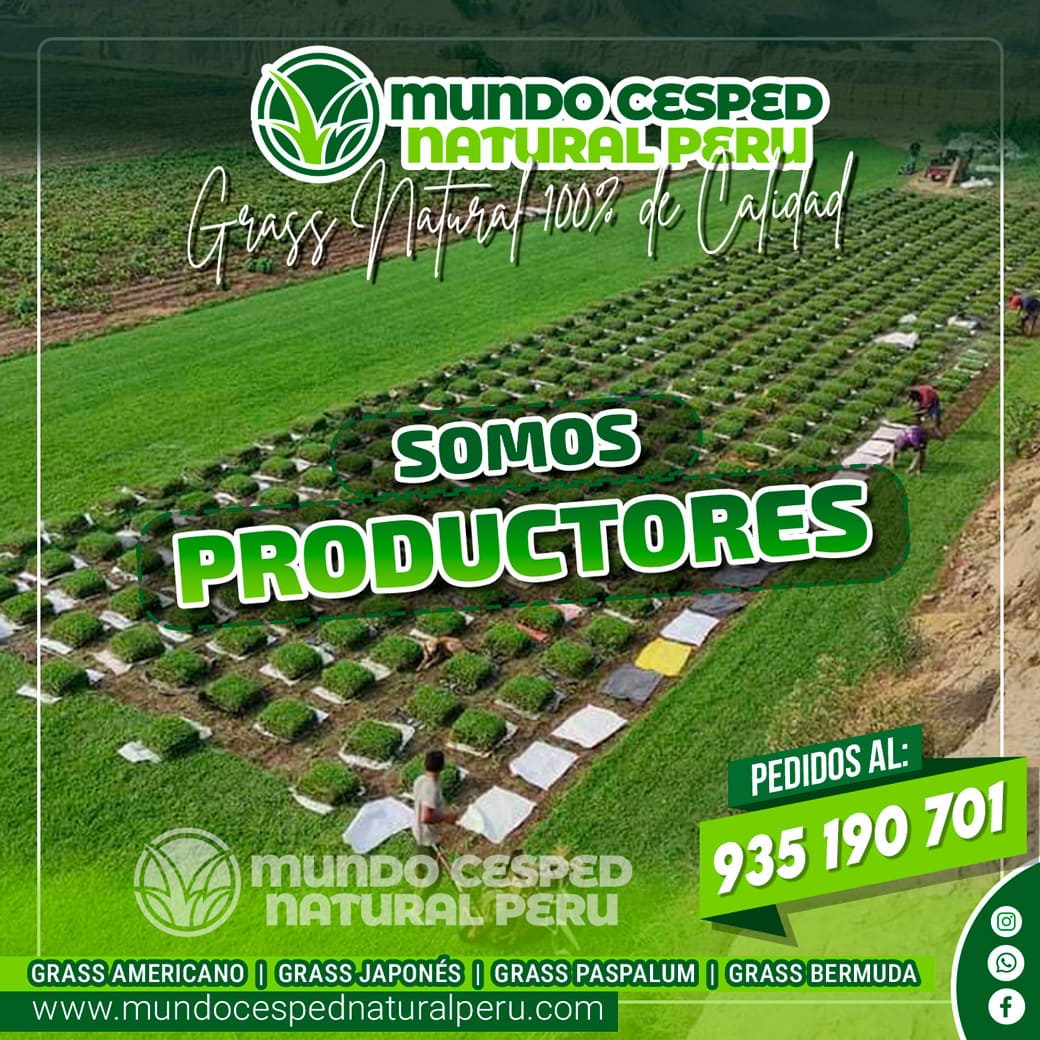 flayer_mundo_02