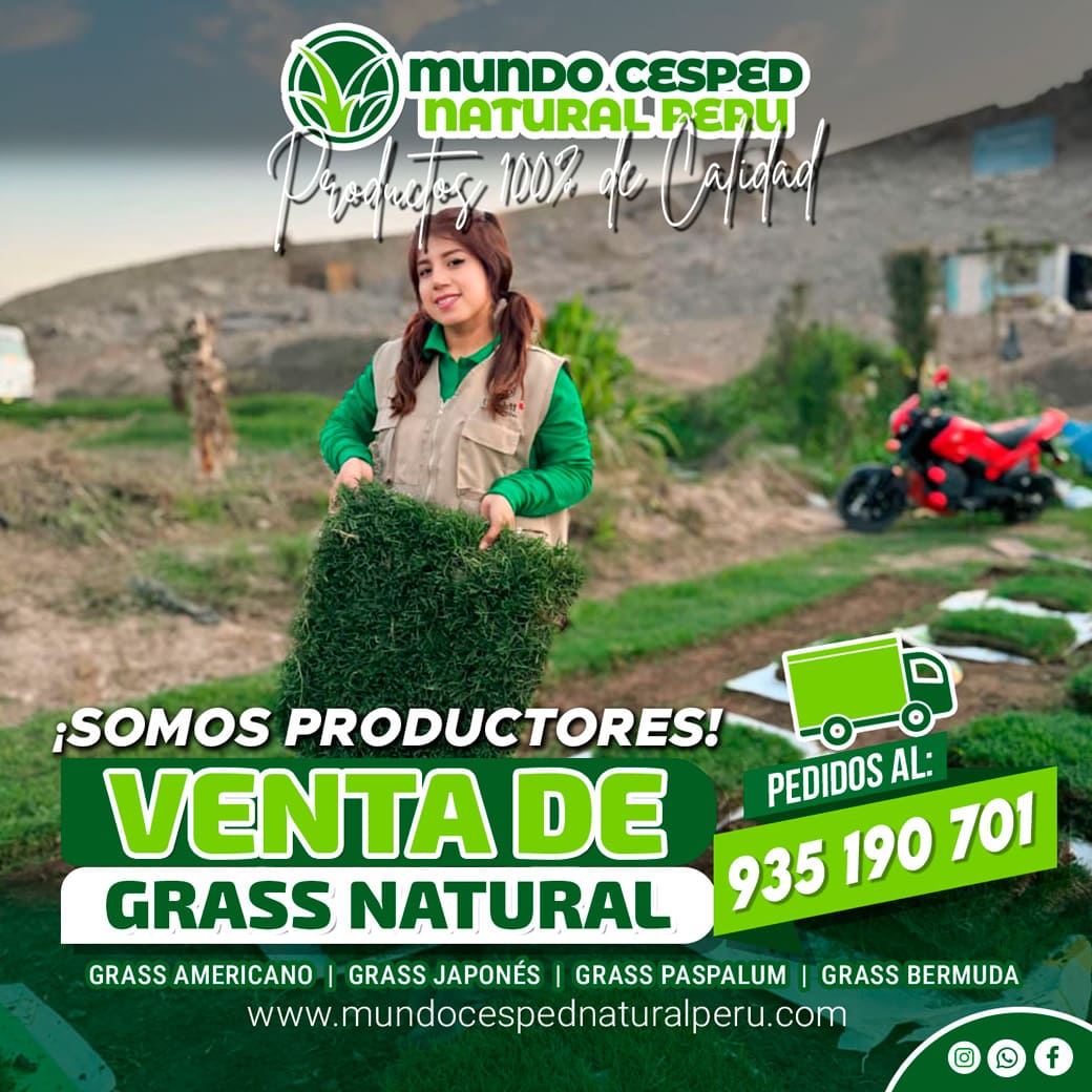 flayer_mundo_04