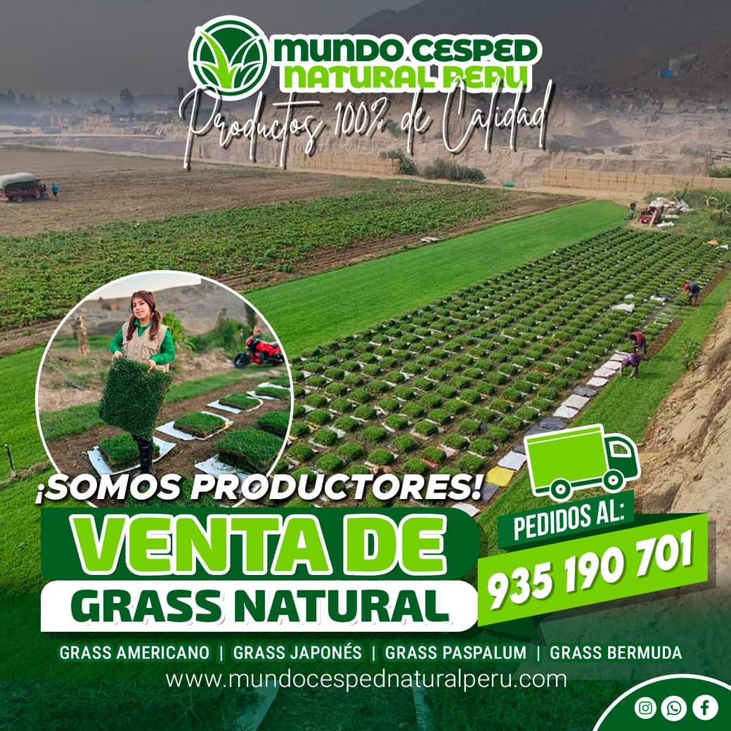 flayer_mundo_05