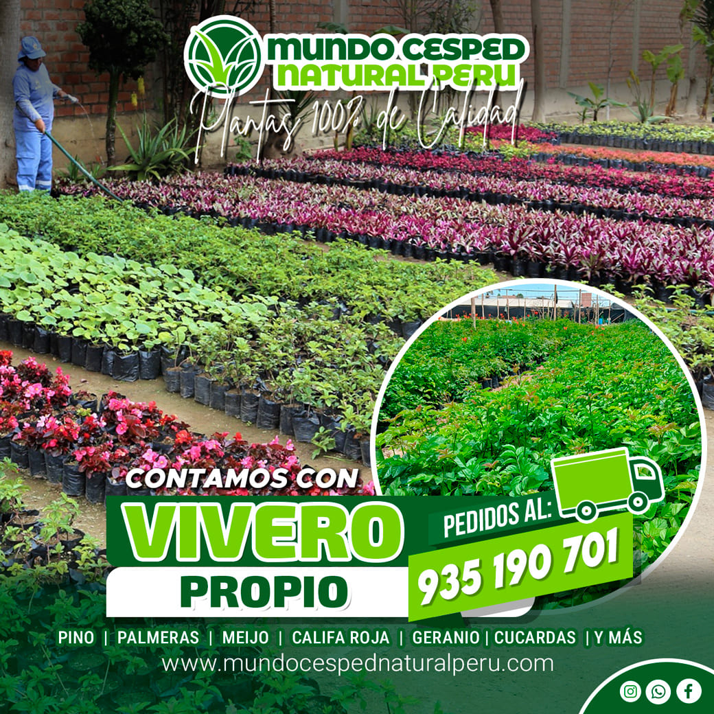 flayer_planta_01