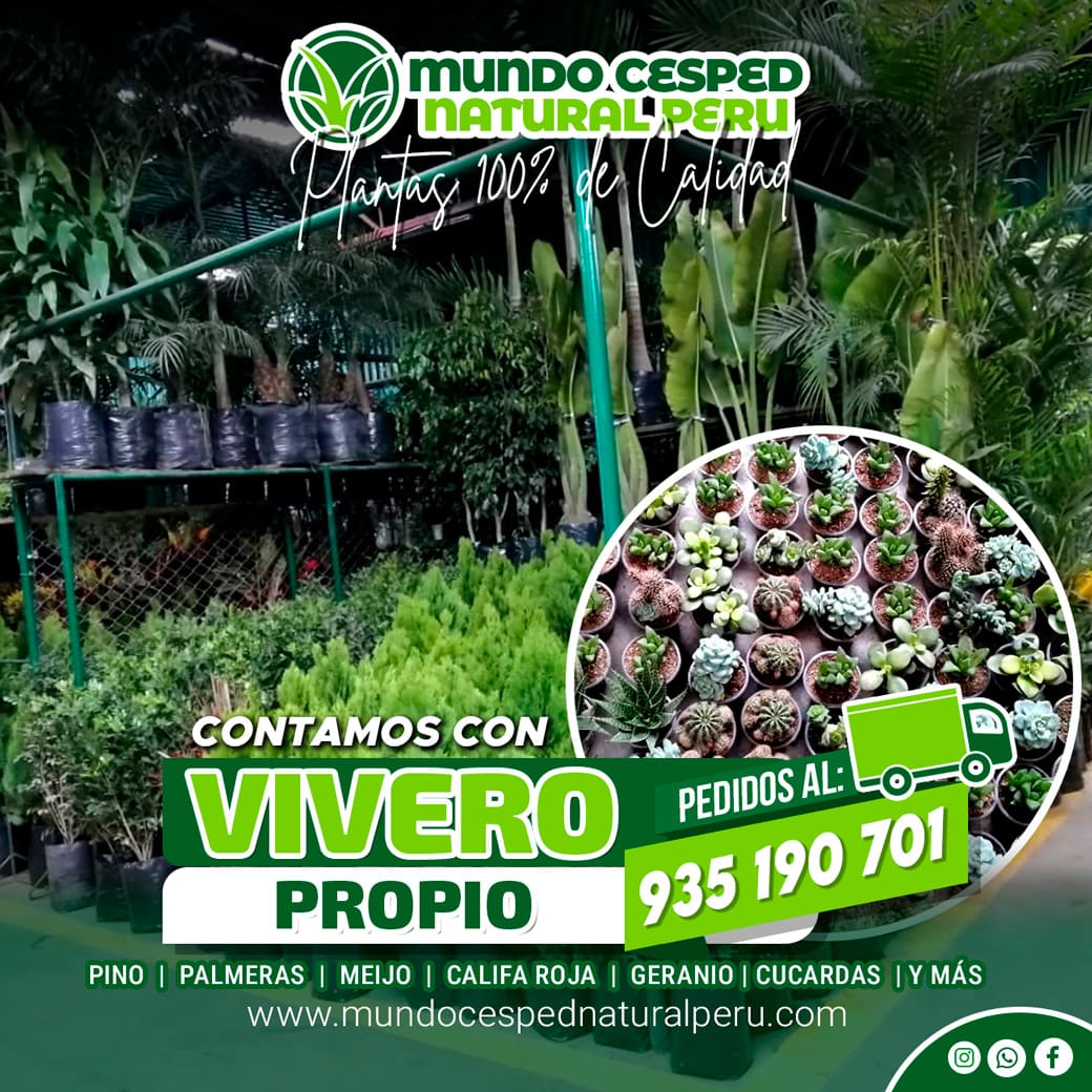 flayer_planta_02 (2)