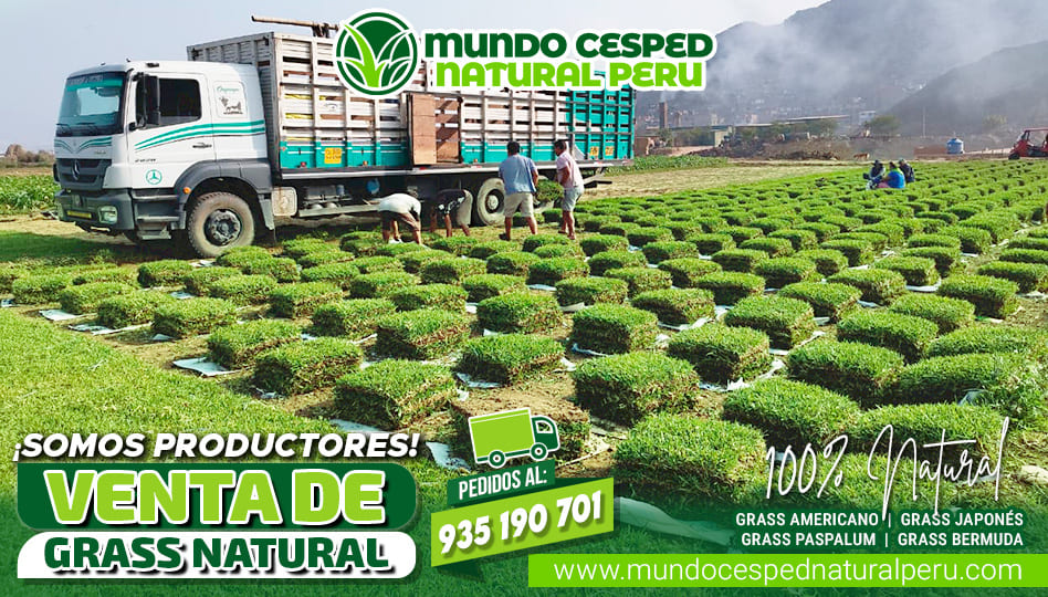 slider_planta_01