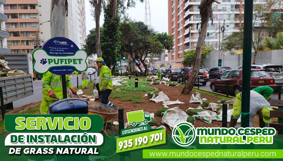 slider_servicio_01