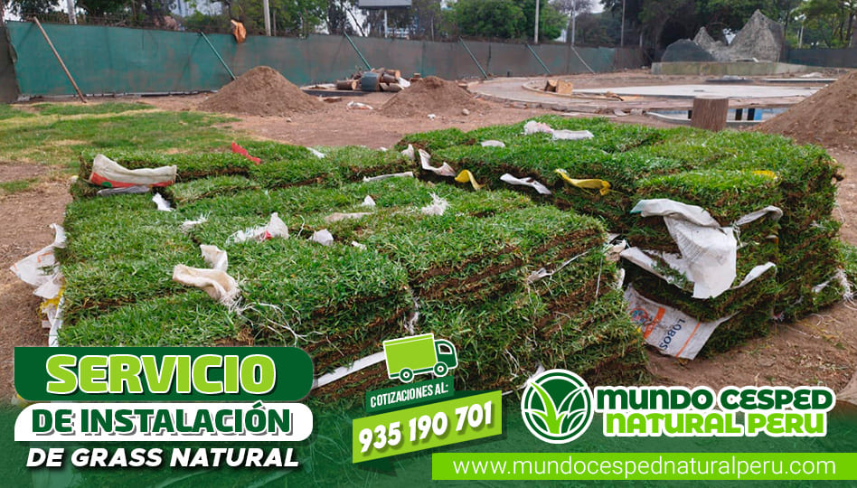 slider_servicio_02