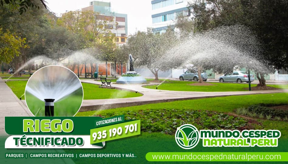 slider_servicio_03